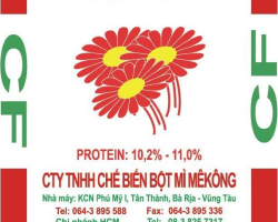 BỘT MÌ CF 